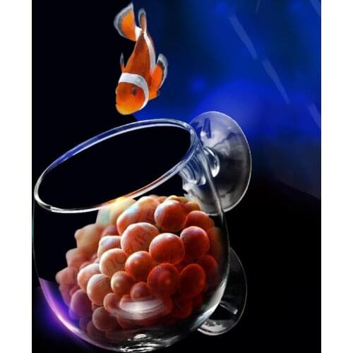DW Aquarium Marine Salt Water Anemone Lair Reef Coral Home Lps Cup Anemone Nest Aquarium Accessories pet tanks acuario terrarium