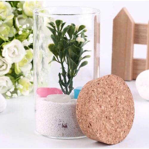 TAILUP Glass Flower Vases