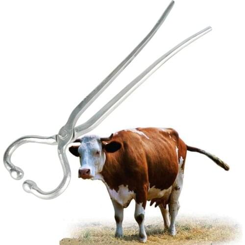 Cattle Livestock Tool Stainless Steel Cow Nose Ring Carrying Pliers Bull Cattle Bovine Pulling Tool Cow Nose Piercing Device 1Pc