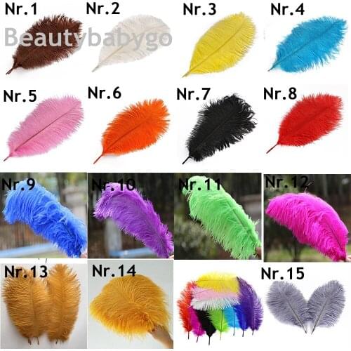 10 Pcs/lot multi-colors ostrich feathers plumes 35-40cm 14-16inch fluffy DIY wedding feather for cloth accessorys Carnival Decor
