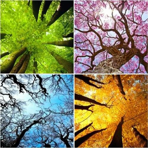AZQSD Diamond Painting Tree Season Cross Stitch Rhinestones Needlework Diamond Embroidery Landscape Mosaic Home Decoration