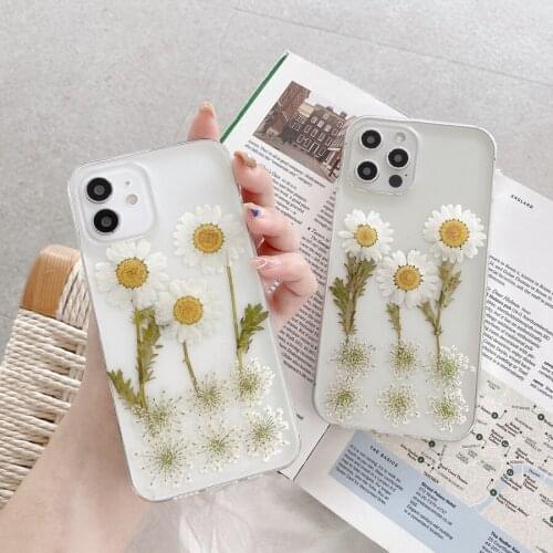 Phone Case Cover For iPhone 7 8 Plus SE 2020 11 12 Pro Max X XR XS Max Real Dried Daisy Flower Shell Soft TPU Gel Clear Skin
