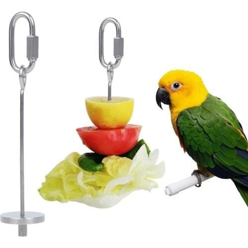1pcs 2021 New High Quality Pet Parrots Birds Food Holder Support Stainless Steel Fruit Spear Stick Meat Fruit Vegetable Skewer