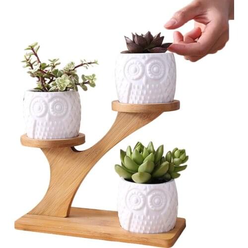 Succulent Plant Flower Pot Holder Ceramic Owl Pumpkin Pattern Pot Treetop Shaped Bamboo Shelf Pot Planter Set Home Decoration