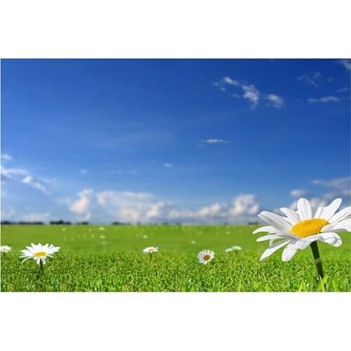 150/225cm Spring Scenery Photography Backdrop Frameless Grassland Fairy Photo Background for Photo Studio Party Decorations