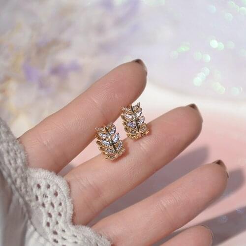 Zrhua Silver Earrings