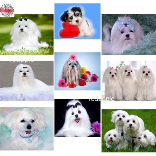 Diamond painting 5d cross stitch Maltese Dog diy 3d diamond embroidery crystal beads mosaic full square drill rhinestone picture
