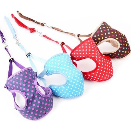 Pet Dog Mesh Harnesses and Leash Set Nylon Puppy Cat Vest Harness Walking Lead Leash for Chihuahua Yorkies Small Dog arnes perro