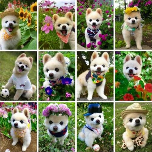Huacan 5d Diy Diamond Painting Dog Animal Home Decor Full Square/round Diamond Embroidery Mosaic Cute Pet Wall Stickers