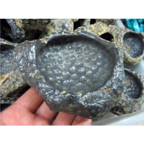 200g Natural black coral ashtray decoration lucky free shipping