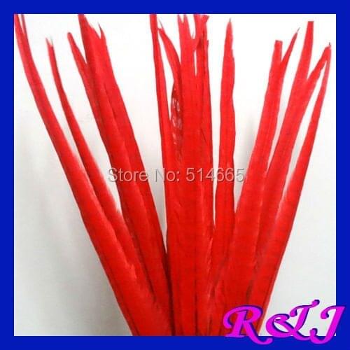 Free Shipping 50-55cm 20-22" Bleached and Dying ringneck pheasant feather 50PCS RED Pheasant Tail Feathers