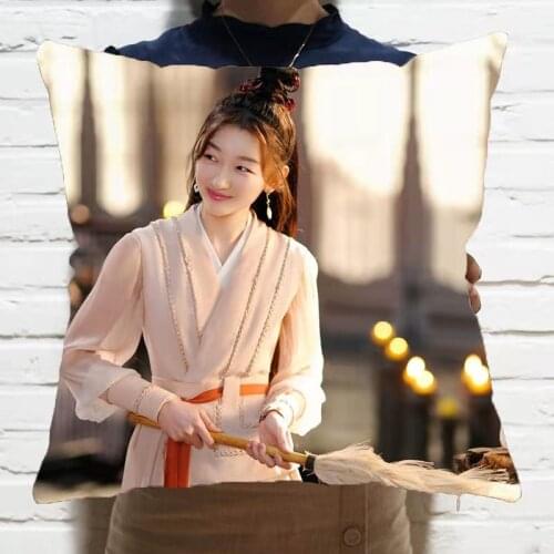 Eternal Jue Chen Zhou Dongyu Hou Chi Pillowcase Pretty Scholar Yu Lexuan Same Paragraph Star Photo Poster Cushion Cover Souvenir