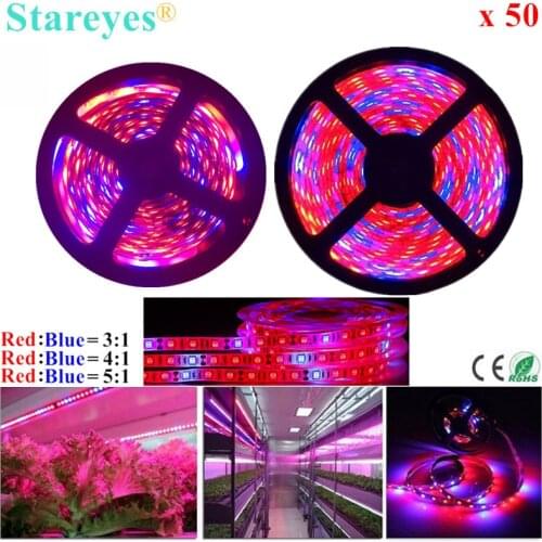 50 Pcs SMD 5050 300 LED 5m LED Strip Growth Phyto Lamp Full Spectrum LED Fitolampy Grow Light For Greenhouse Hydroponic plant