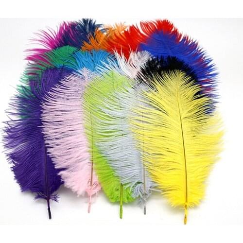 10 PCS Dyed Elegant Ostrich Plumes 15-20CM Natural Feathers for DIY Handwork Wedding Party Decor Accessories