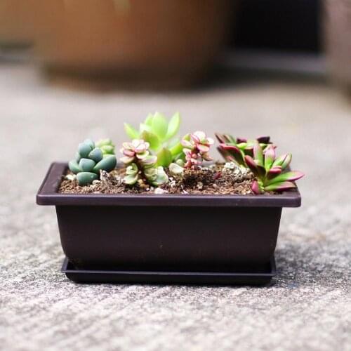 Succulent Flower Pot Square Rectangular Plastic Bonsai Flowerpot Garden Tool