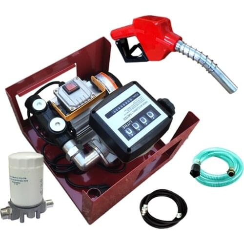 220V Electric Oil Diesel Fuel Transfer Pump Assembly W/ Meter Hose Manual Nozzle