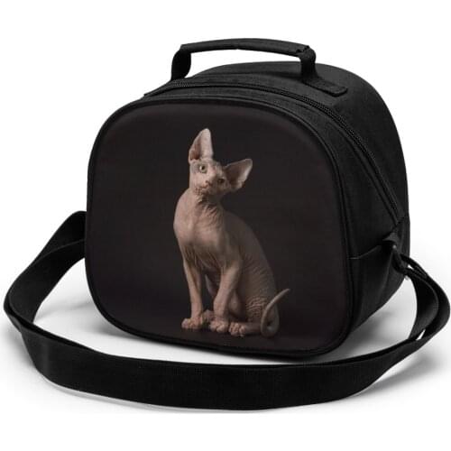 Sphynx Cat Children Lunch Bag Lunch Bag Student Portable Insulated Office Lunch Box Picnic Bags Thermal Food Tote Handbag