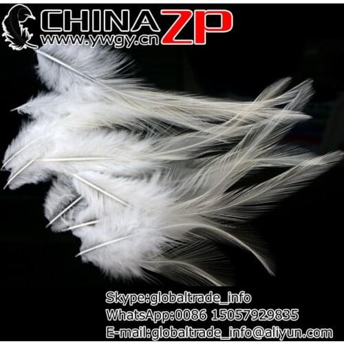 Made in CHINAZP Factory 1000pcs/lot Good Quality Bleached White Rooster Saddle Plumage Feathers