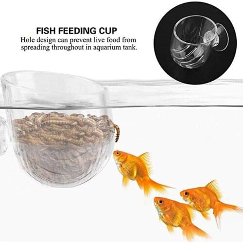 Transparent Acrylic Red Worm Feeder Fish Bowl Shrimp Feeding Cup with Suction Cup