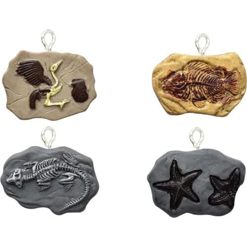 Yamily 8Pcs/Resin paleontology fossil Charm Drink DIY Making Pendant Jewelry For Keychain Earrings Necklace