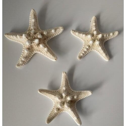Mediterranean Style DIY Shell Decoration Beach sea star Natural Shells Craft Aquarium Decoration white starfish conch