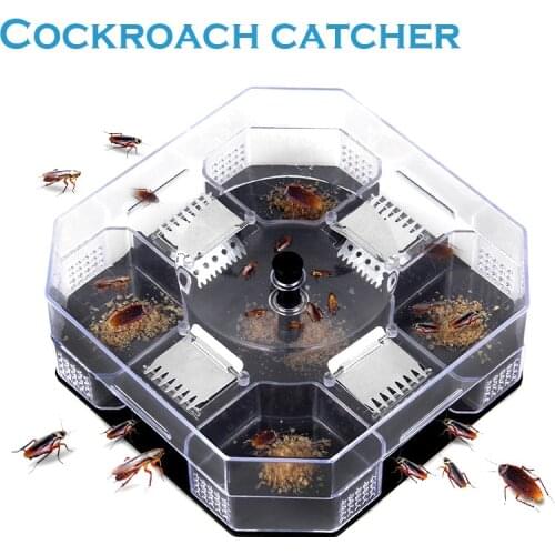 Reusable Combat Cockroach Trap Efficient Roach Cockroach Trap Killer Catcher Box Physical Capture produits anti-nuisible