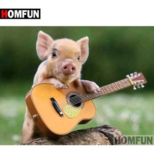 HOMFUN 5D DIY Diamond Painting Full Square/Round Drill "Guitar pig" Embroidery Cross Stitch gift Home Decor Gift A07891