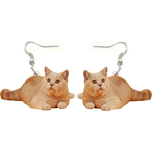 1 Pair British Shorthair Acrylic Cat Earrings Womens Earrings Jewelry Gifts for Women Kids Love Animal Stainless Steel Earring