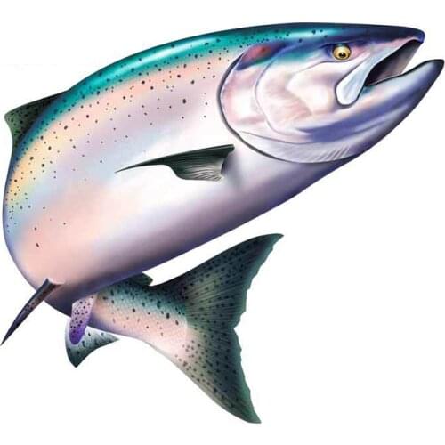 Personality Salmon Vinyl Car Stickers Sunscreen Fine Decal Motorcycle Personality Occlusion Scratch Decoration Apply To Car