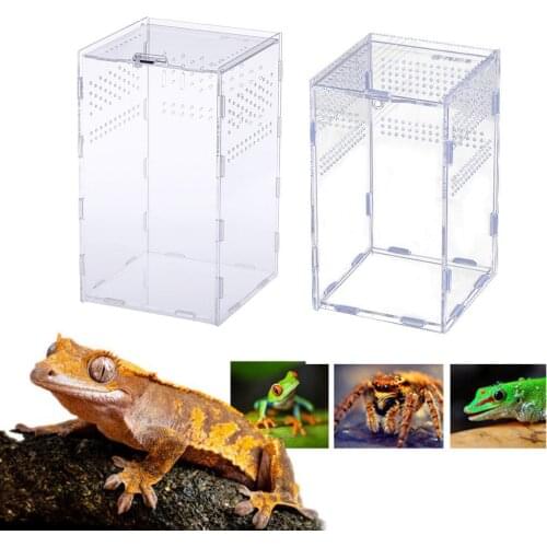 Insect Feeding Box For Lizard Snake Spider Lizard Scorpion Centipede Acrylic Reptile Breeding Box Clear Terrarium Feeding House