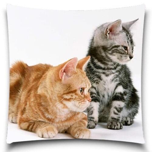 Two cats that are close together Pillow Case of Christmas gift Home Office Decal /Home Textile Gift Pillow Cover 5 size 9 style