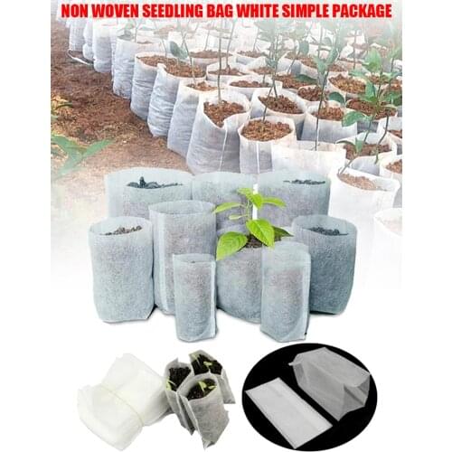 Flower Invitation Outdoor Pots