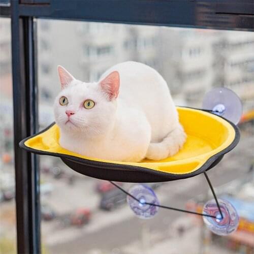 Cat Hammock Pet Hanging Beds Window Sucker Type Suspension Seat Bed Comfortable Eva Soft Cat Nest Space Capsule Cat Hammock