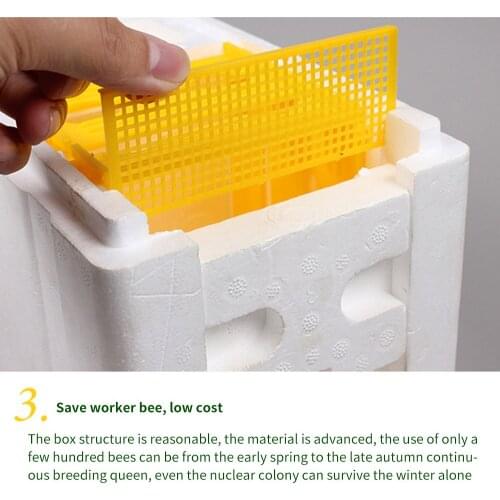 Bee Hive Beekeeping King Box Pollination Box Foam Frames Beekeeping Tool Kit Harvest Bee Hive Home Hive Case Beekeeper Tools