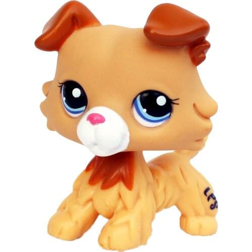 LPS CAT Cute pet shop toys figure real rare animal dog #2452 yellow brown collie with blue eyes old original