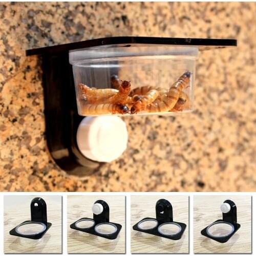Hot ！1pcs Reptile Tank Insect Spider Ants Nest Snake Gecko Food Water Feeding Bowl Terrarium Breeding Feeders Box Pets Supplies