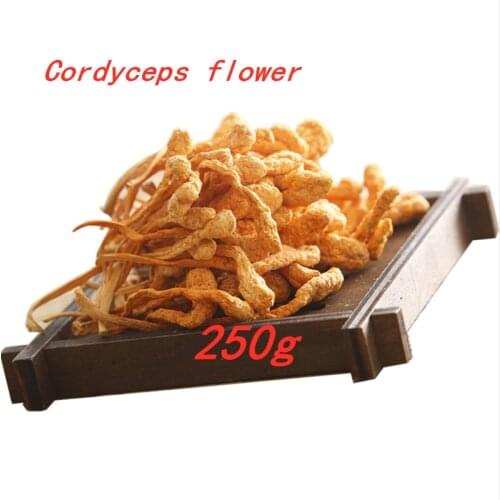 Cordyceps flower spore Cordyceps militaris anti-cancer, anti-aging, anti-aging and anti-oxidation health care 250g