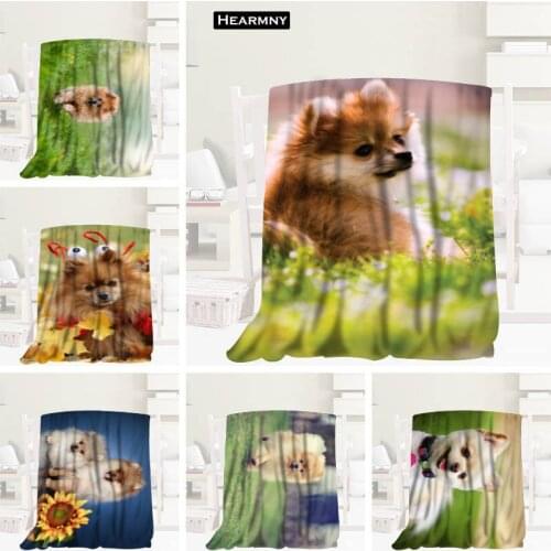 New Arrival Pomeranian Dogs Blankets 3D Printing Soft Blanket Throw On Home/Sofa/Bedding Portable Adult Travel Cover Blanket