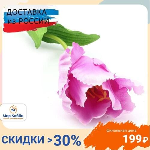 Astra&Craft Products For The Holiday