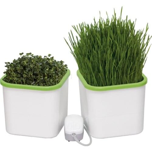 Здоровья Клад Seedling Pots