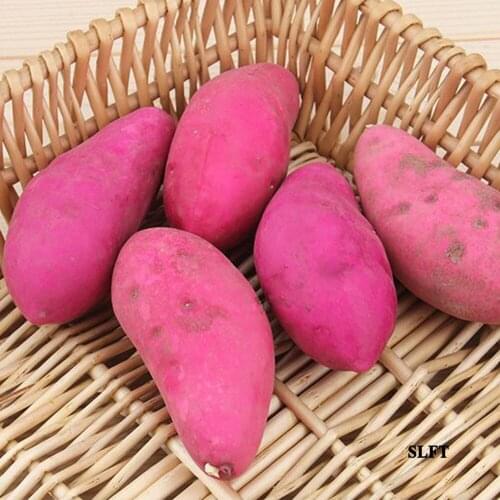 Green grocery Kitchen hotel supermarket store shop decoration artificial vegetables props Simulation fake sweet potato model