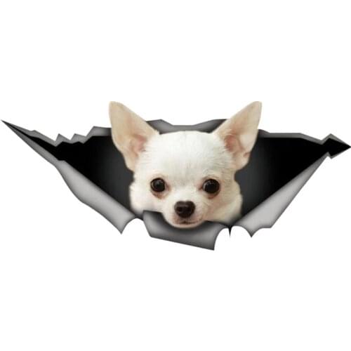 B0754# Self-adhesive Decal White Chihuahua Car Sticker Waterproof Auto Decors on Bumper Rear Window Motorcycle Laptop
