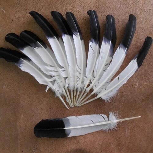 Wholesale 100 Pcs 10-12inch 25-30cm Dyed Turkey Wing Quill Feather Black Tipped Imitation Eagle Feathers diy jewelry Decorative