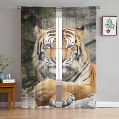 Tiger Wild Animals Window Treatment Tulle Modern Sheer Curtains for Kitchen Living Room the Bedroom Curtains Decoration