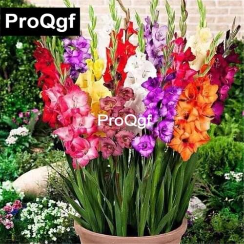 Prodgf 1 Set ins Sleeping Series Swing Chair