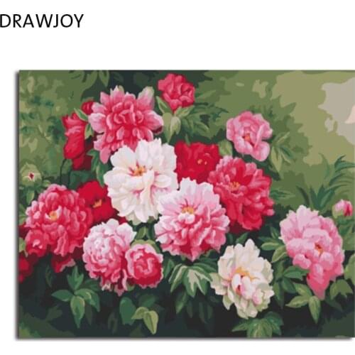 DRAWJOY Framed Picture Painting By Numbers Modern Flower Home Decor For Living Room Hand Unique Gifts Picture Wall Art