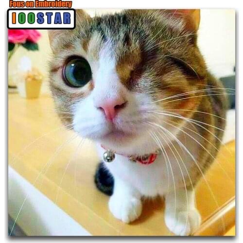 Full Square Diamond painting Cute winking kitten DIY 3D Diamond mosaic Cat Full Round Diamond embroidery Cross stitch animal