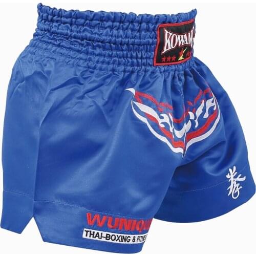 Fluory Men Women Kids Fight shorts Boxing Pants Shorts embroidery MMA Shorts Muay thai shorts for combat games