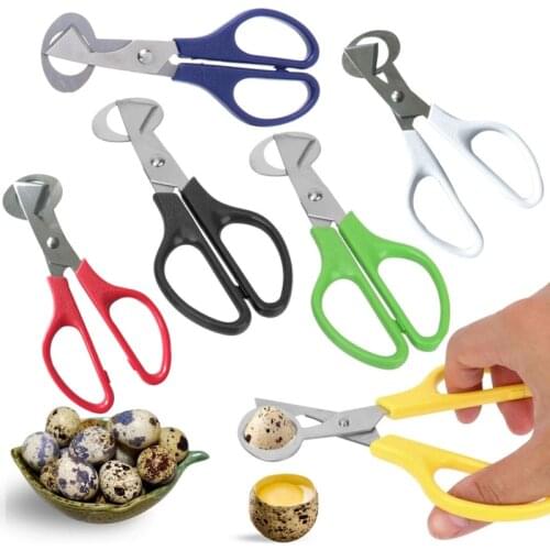 Quail Egg Scissors Cutter Stainless Steel Blade Tool Small Egg Shell Cutters
