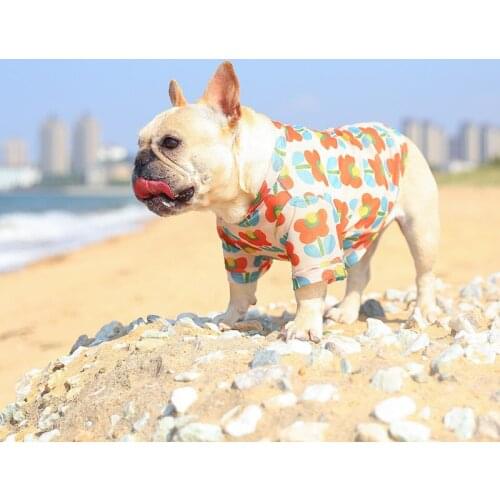 Pet Dog Vests Summer Mesh T Shirt Cat Clothes Dog Sport Breathable Design Puppy Vest Cute Backpack Set Small Dog Cat Product E02